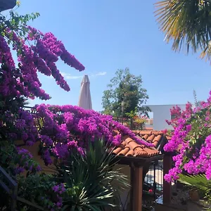 Ana Apartment Opatija