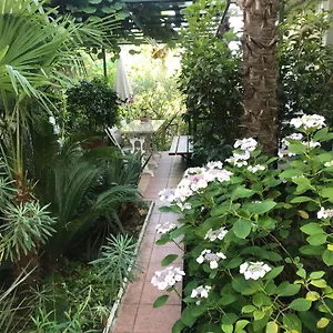 Sunny Garden Apartment